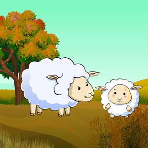 韩国bj大乳抖奶舞
