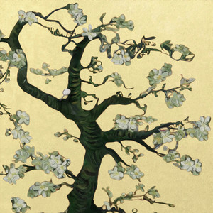 韩国bj大乳抖奶舞
