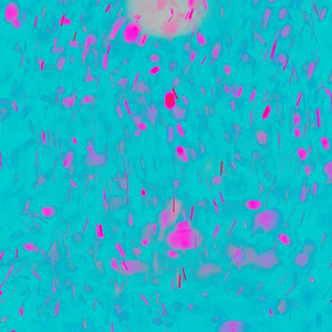 韩国bj大乳抖奶舞
