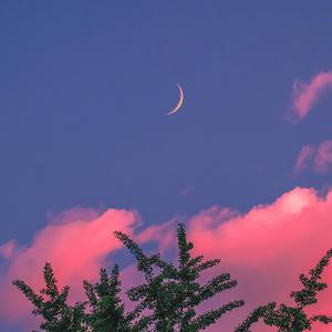 韩国bj大乳抖奶舞
