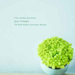 韩国bj大乳抖奶舞
